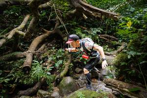 BIB: 
                            <button type="button" onclick="openModal(19407476)" class="btn btn-primary btn-sm float-right btn-popup" data-toggle="modal" data-target=".modal-high-quality">
                        <i class="fas fa-shopping-cart"></i> Add to Cart
                    </button>
                                            <button type="button" onclick="isThisMe(19407476, true)" class="btn btn-success btn-sm float-right btn-popup btn-isme hidden" data-toggle="tooltip" data-placement="bottom" title="นี่คือรูปของคุณใช่ไหม คลิกที่นี่เพื่อเอาเข้าอัลบั้ม">
                        <i class="fas fa-plus"></i> Add to album
                    </button>
                    <button type="button" onclick="isThisMe(19407476, false)" class="btn btn-warning btn-sm float-right btn-popup btn-isnotme hidden">
                        <i class="fas fa-ban"></i> Remove from album
                    </button>